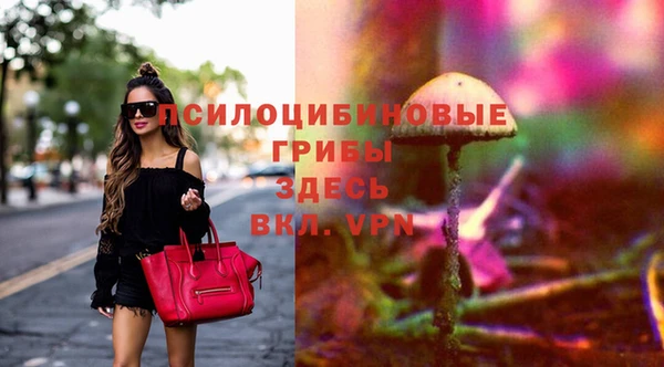 бутират Кукмор