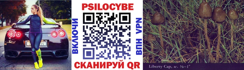 наркотики  Армавир  Галлюциногенные грибы мицелий 